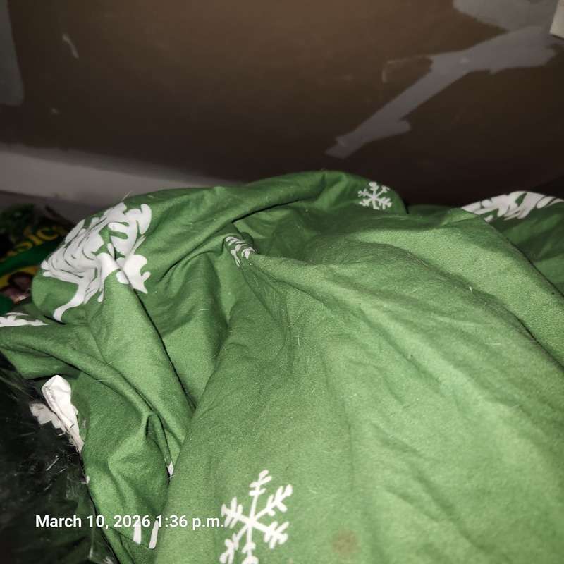 Moving & Storage at Fairway Rd  auction IB-3220 50