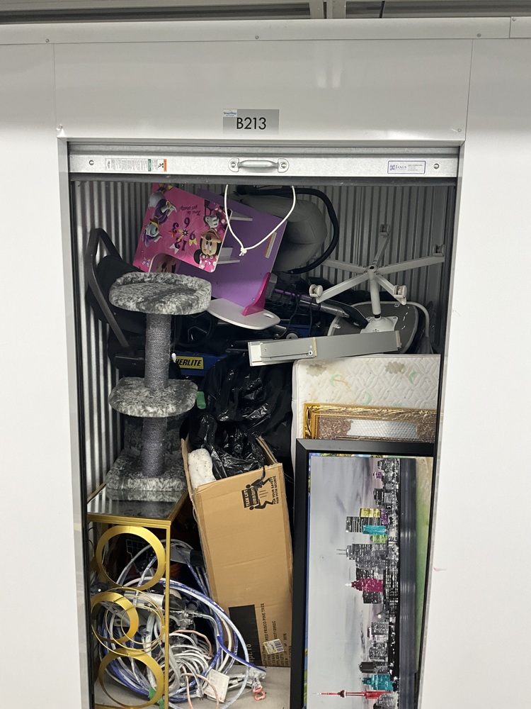 SmartStop Self Storage - Lakeshore Miss  auction IB-1831