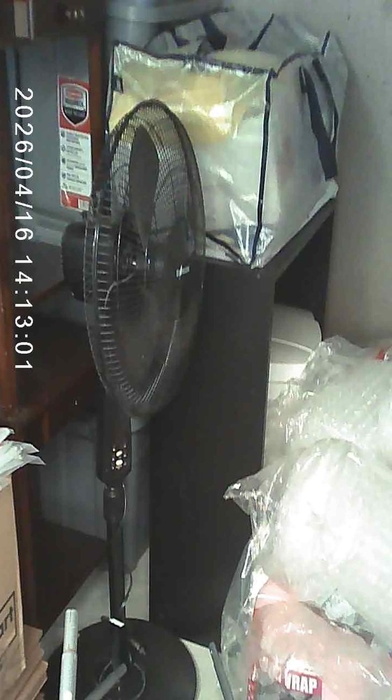 3002 -StorageMart  Wonderland Rd S  auction IB-8121 80