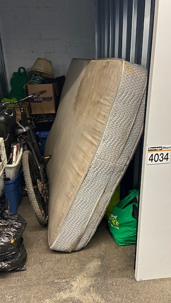 3006 - StorageMart Lauzon Rd. Windsor  auction IB-5851 10