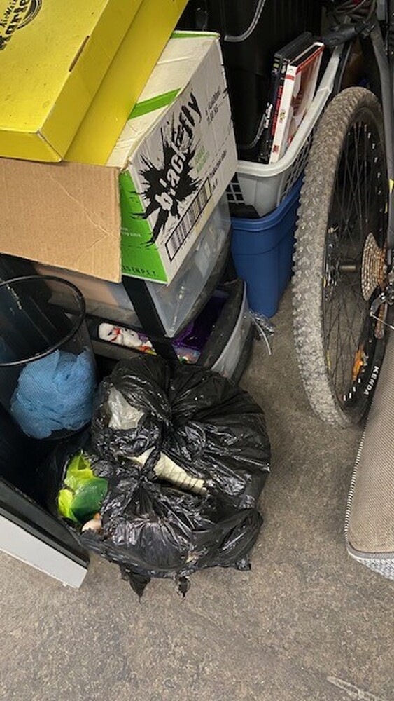 3006 - StorageMart Lauzon Rd. Windsor  auction IB-5851 40