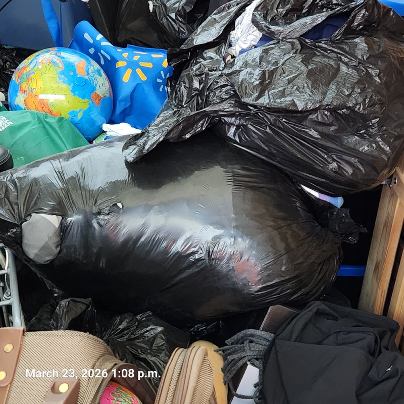 Moving & Storage of South Walkerville  auction IB-2146 50