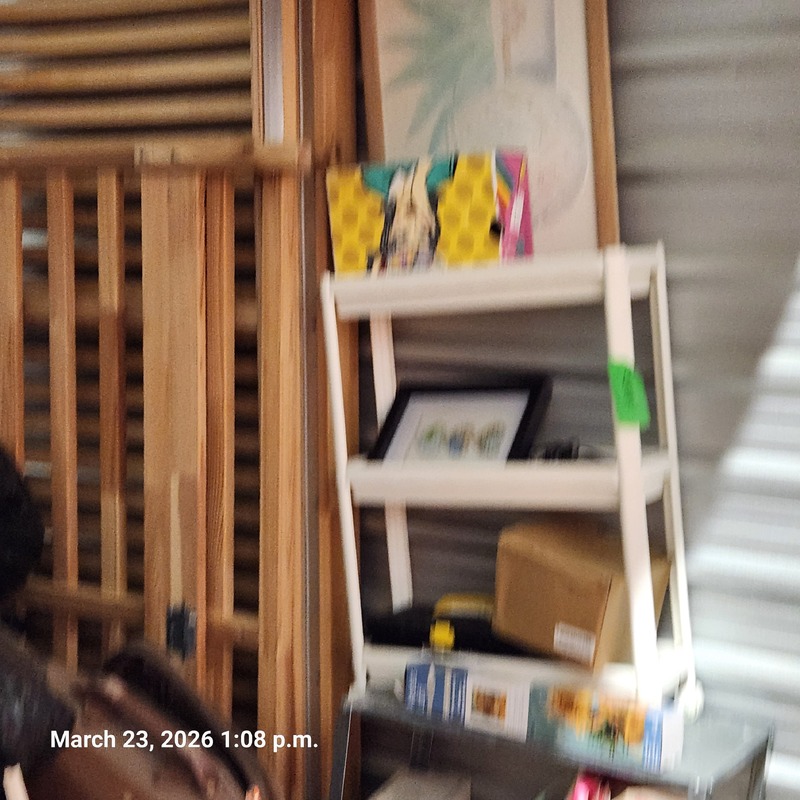 Moving & Storage of South Walkerville  auction IB-2146 120