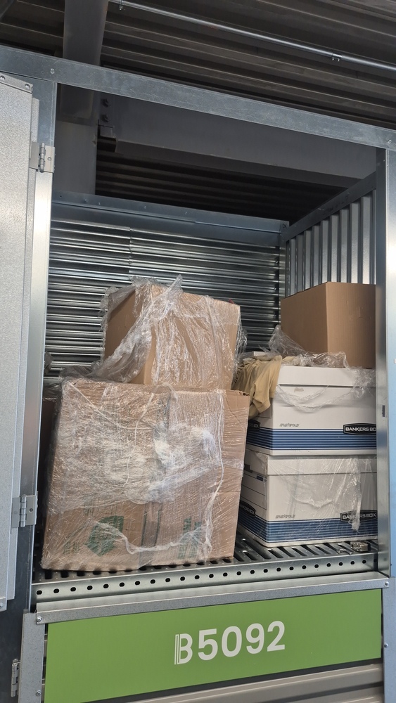 XYZ Storage - Eastern Ave.  auction IB-6726