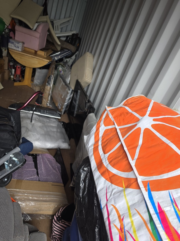 The Storage Store  auction IB-8181