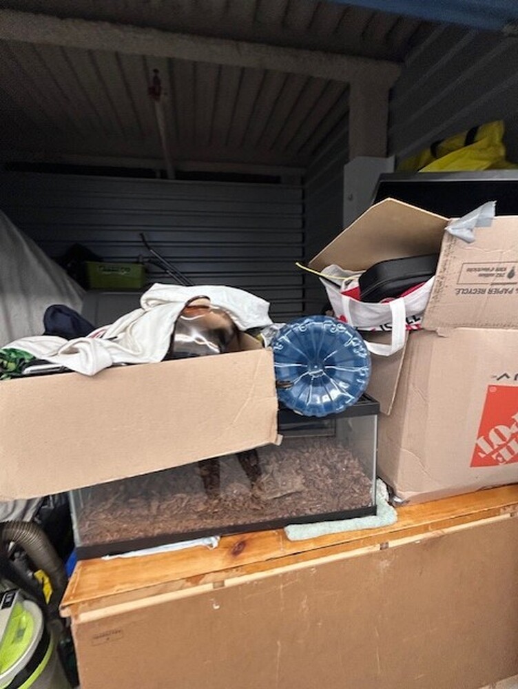 3032 -StorageMart  Ajax  auction IB-8750 30