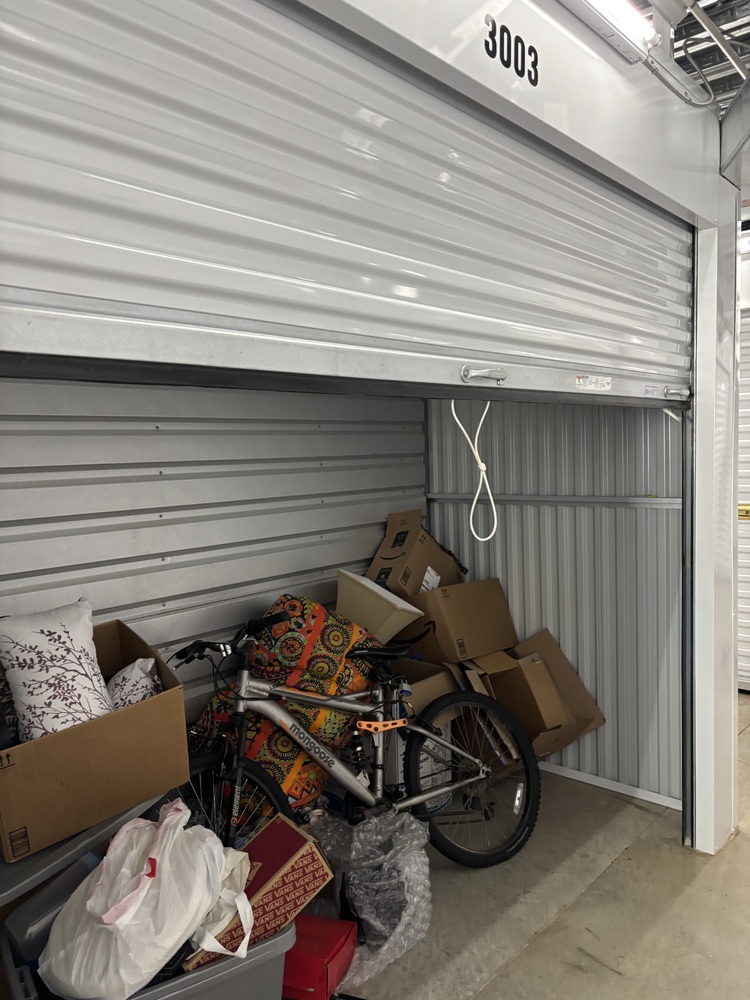 DEStorage.com New Garden  auction IB-8524 10