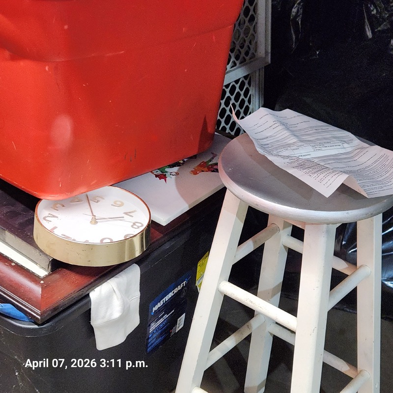 Moving & Storage of South Walkerville  auction IB-2672 100