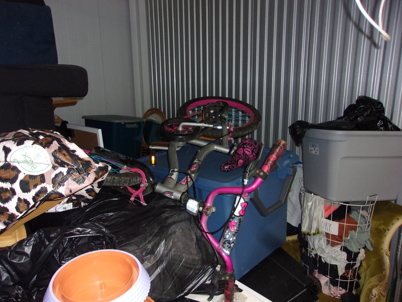 1-800-Self-Storage (8 Mile)  auction IB-3355 40