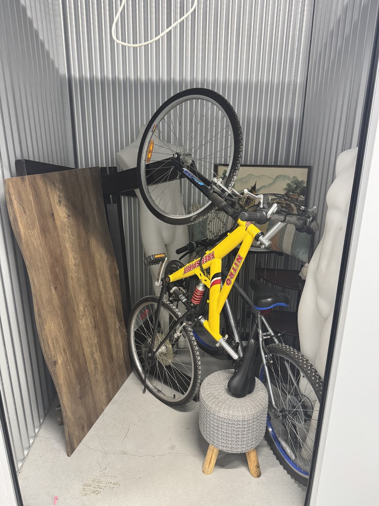 SmartStop Self Storage - 50 Cityview Vaughan  auction IB-9693 10
