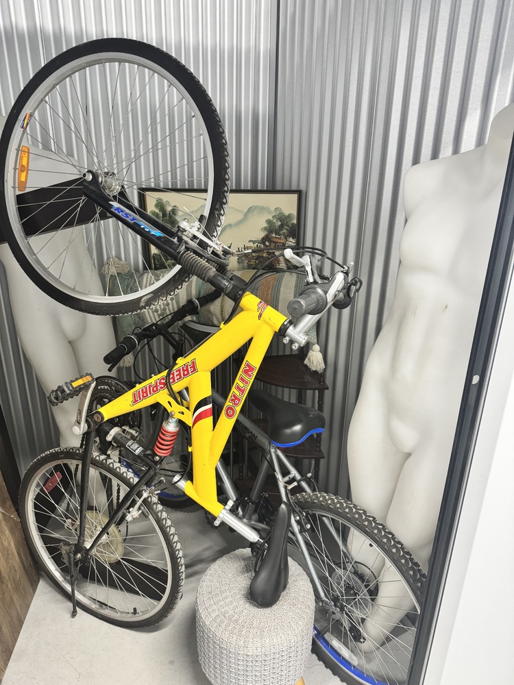 SmartStop Self Storage - 50 Cityview Vaughan  auction IB-9693 20
