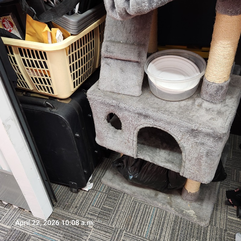 Moving & Storage of Western Fair  auction IB-2857 100