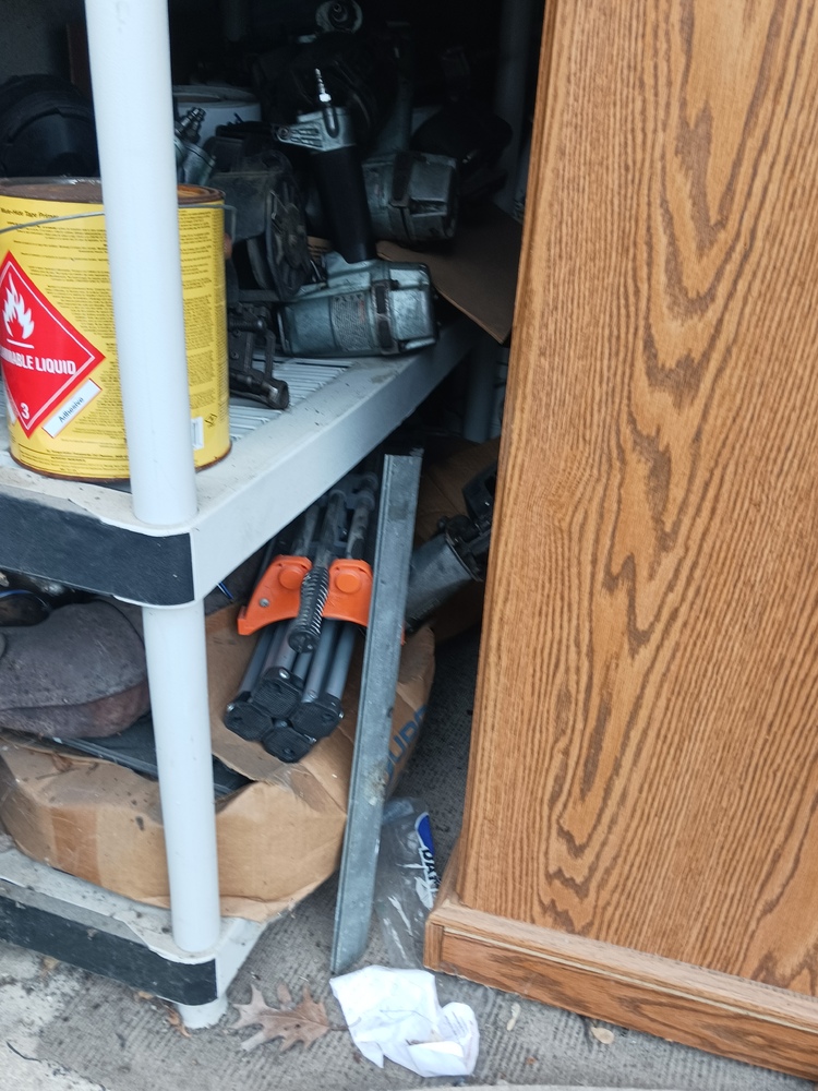 1-800-Self-Storage.com of Novi/Wixom, Michigan  auction IB-1239 60