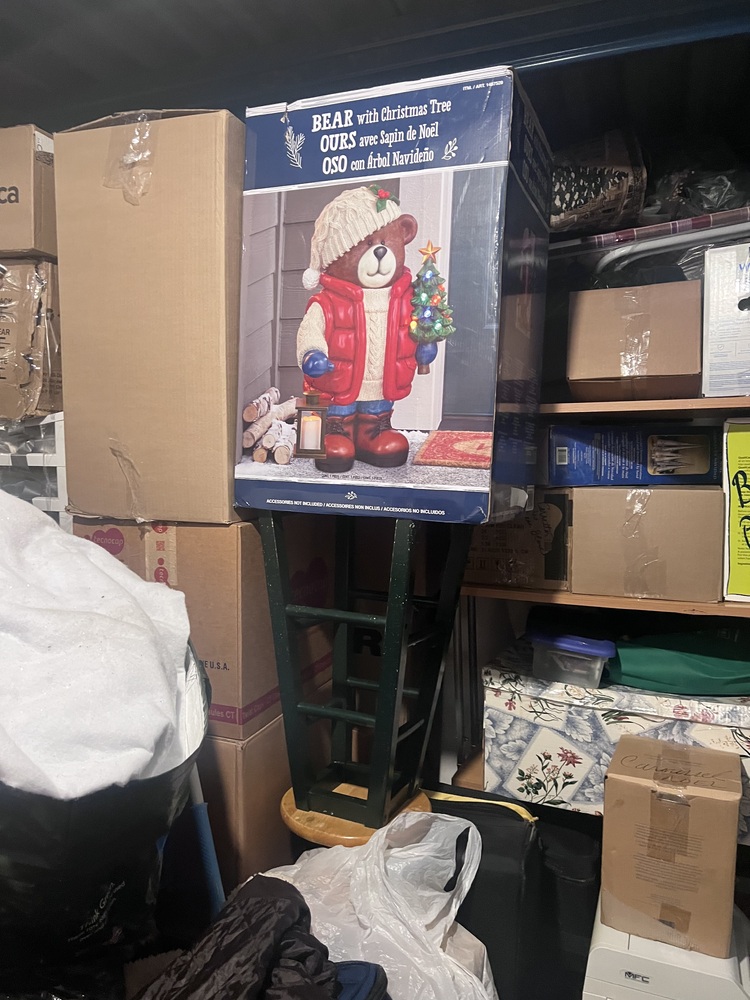 3106 - StorageMart St-Hubert  auction IB-7890 20