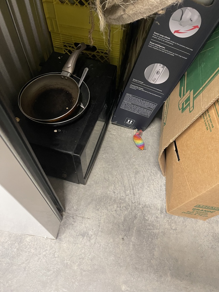 NationWide Self Storage - Kamloops  auction IB-2777 40