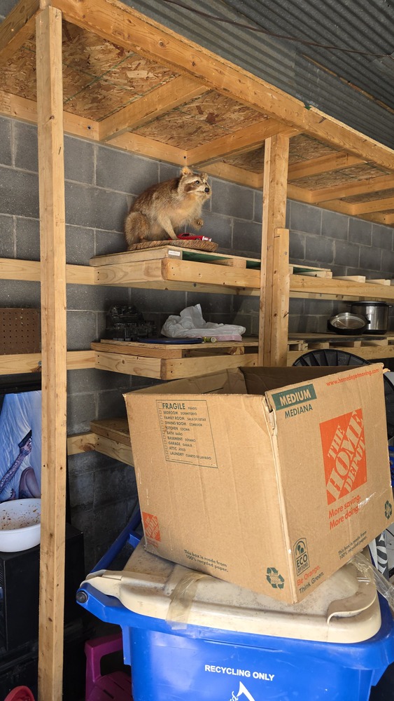 Storage One - Waterford  auction IB-1757 20