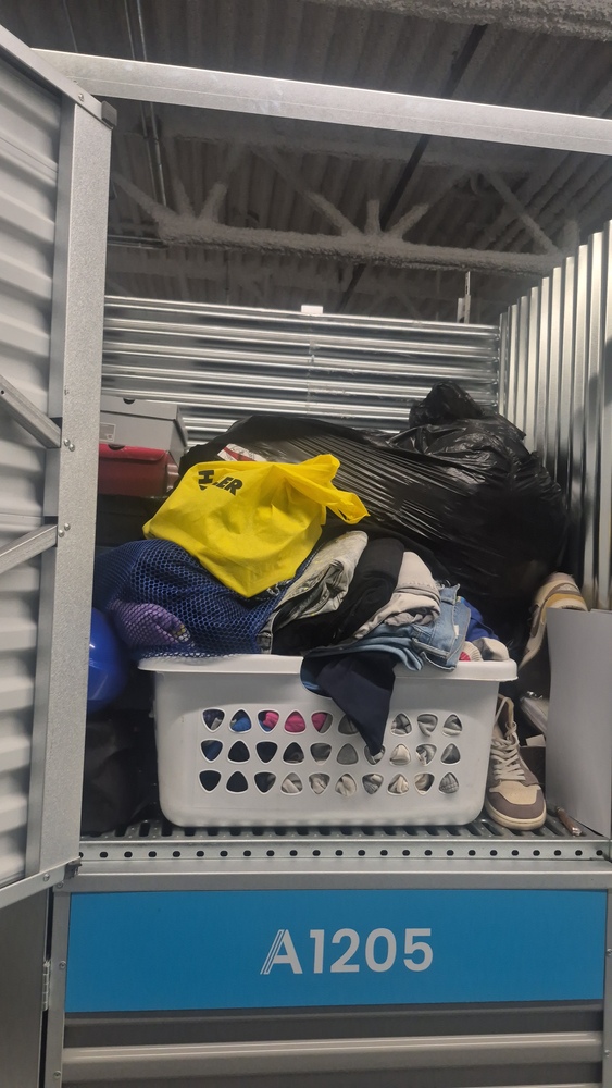 XYZ Storage - Eastern Ave.  auction IB-2278