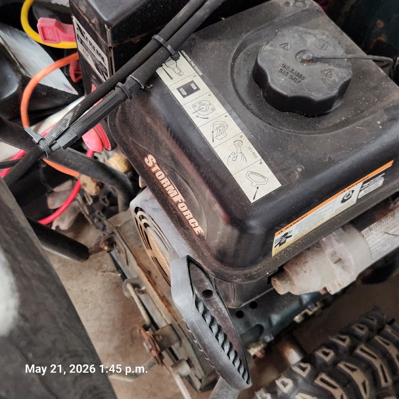 Moving & Storage of South Walkerville  auction IB-9183 40