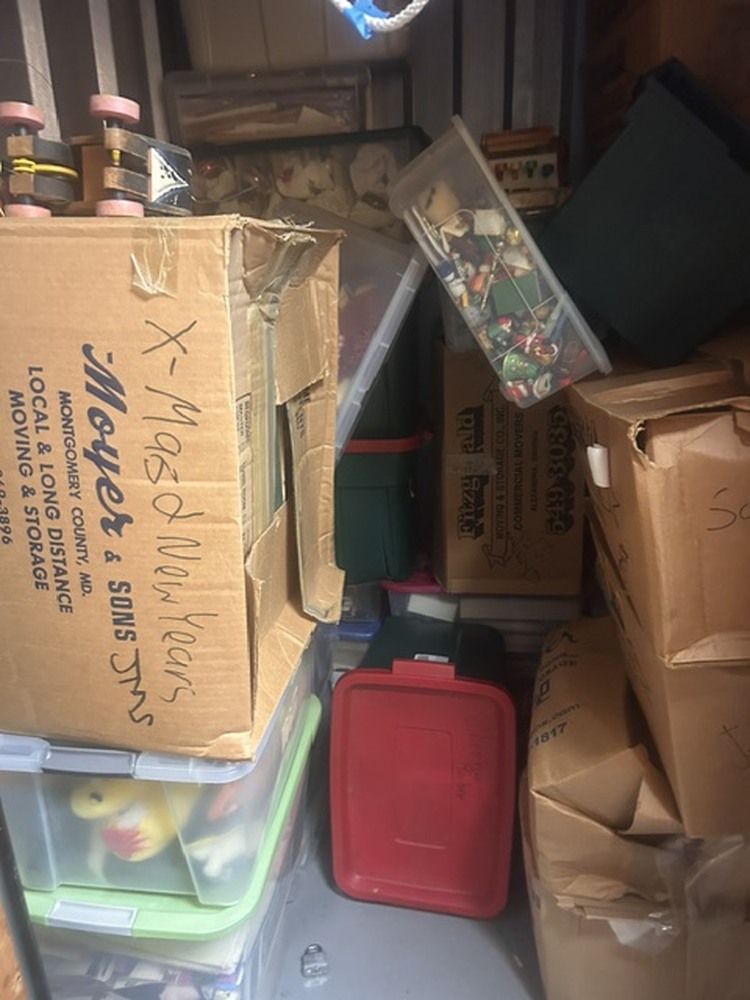 Advantage Self Storage - Thompson Creek Stevensville MD  auction IB-5717 30