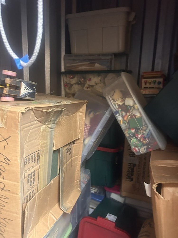 Advantage Self Storage - Thompson Creek Stevensville MD  auction IB-5717 50