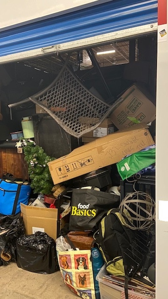 3006 - StorageMart Lauzon Rd. Windsor  auction IB-1907