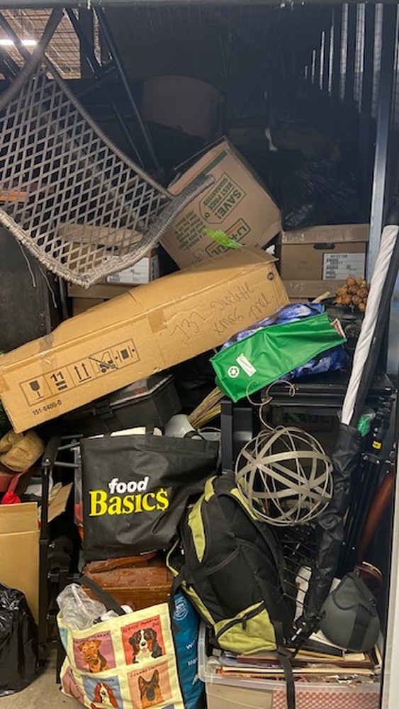 3006 - StorageMart Lauzon Rd. Windsor  auction IB-1907 10