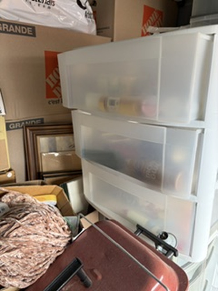 3001 - StorageMart Commissioners Rd W  auction IB-4252 100