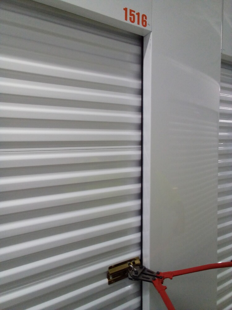 1-800-Self-Storage of Southfield (8 mile)  auction IB-7235