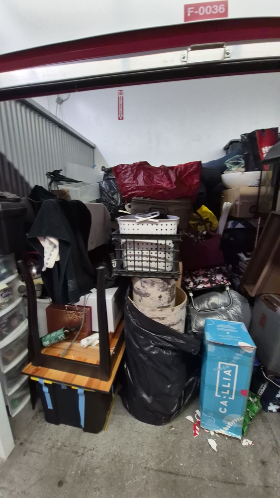 XYZ Storage - Laird  auction IB-4065 20