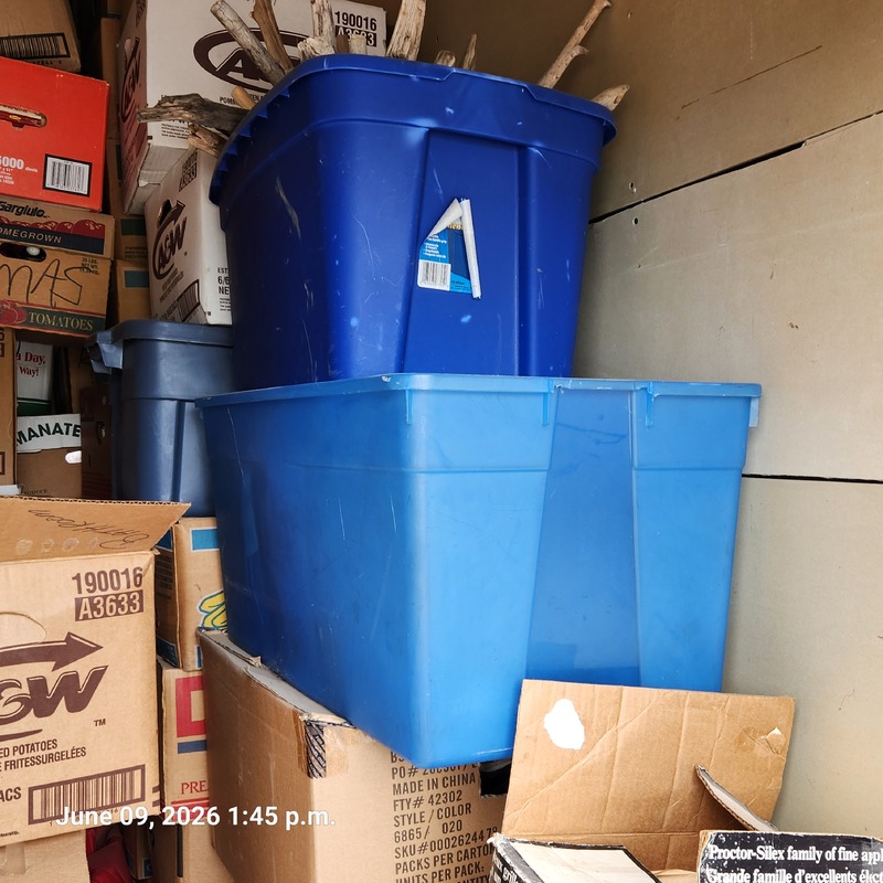 Moving & Storage of Golden Mile  auction IB-1556 10