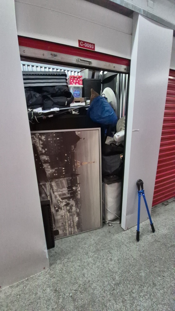 XYZ Storage - Laird  auction IB-7594
