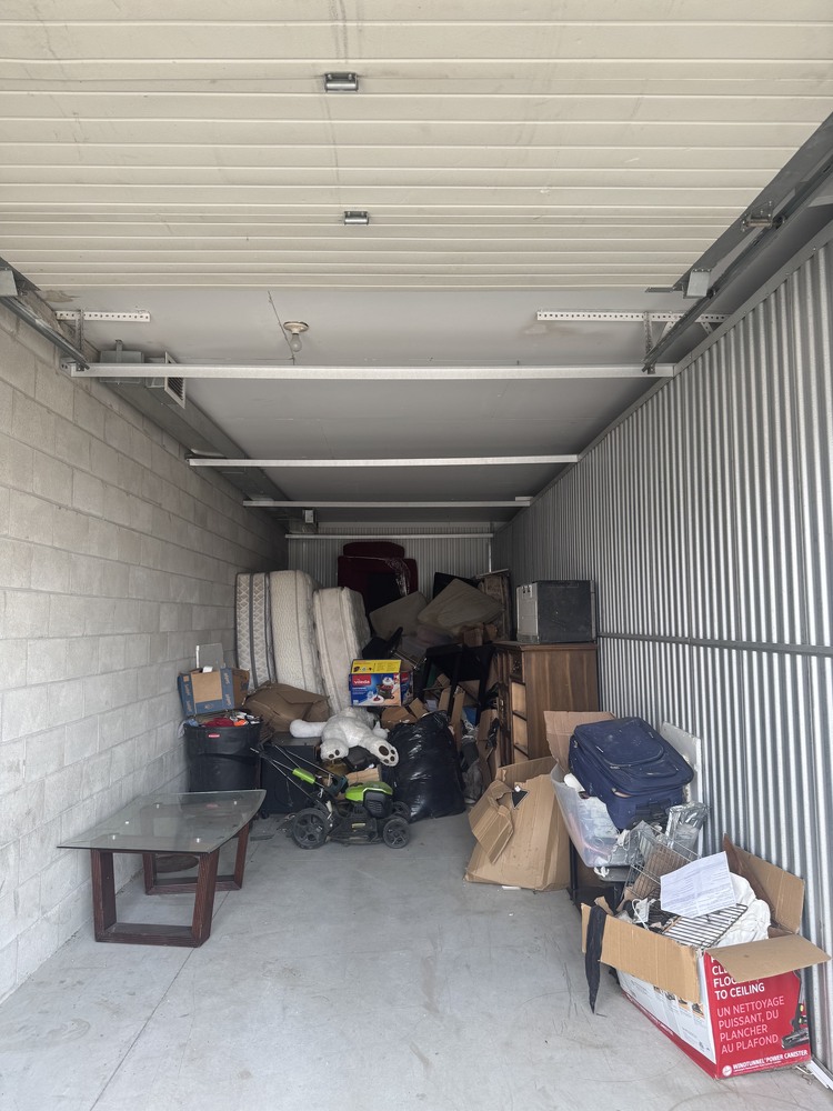 3009 - StorageMart Guided Crt  auction IB-4232 10