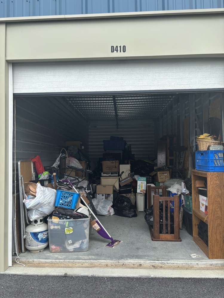 DEStorage.com New Garden  auction IB-8106 10
