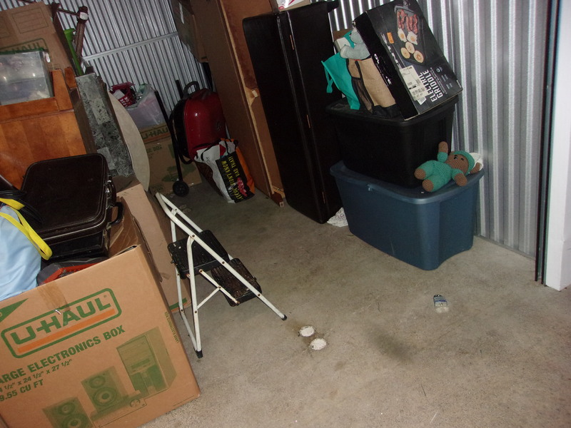 1-800-Self-Storage (8 Mile)  auction IB-2757 20