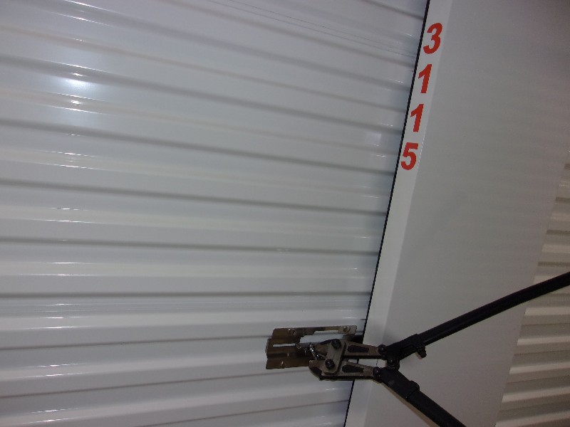 1-800-Self-Storage (8 Mile)  auction IB-2436