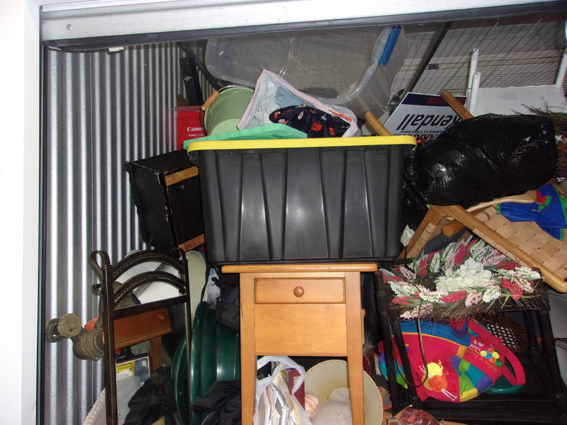 1-800-Self-Storage (8 Mile)  auction IB-8232 40