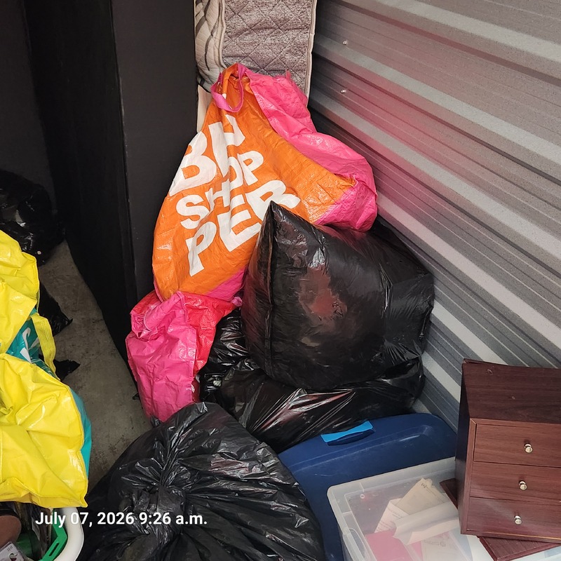 Moving & Storage of South Walkerville  auction IB-3011