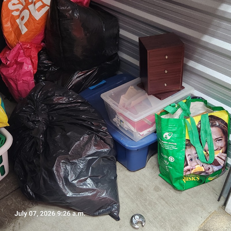 Moving & Storage of South Walkerville  auction IB-3011 40
