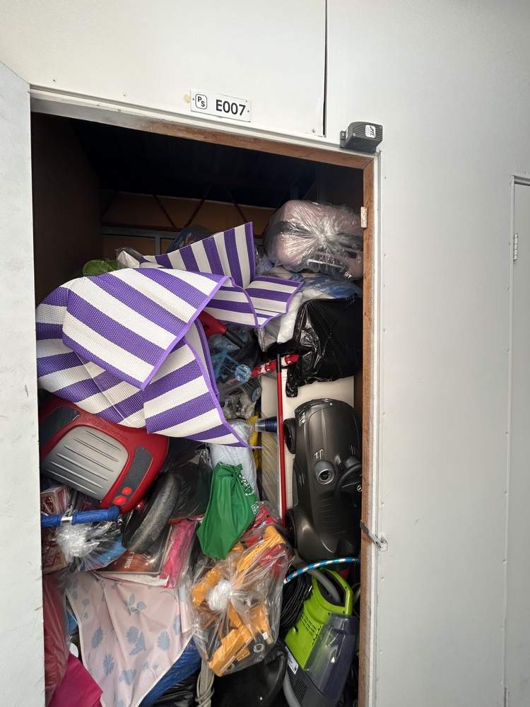 Public Storage P0008 -Dynamic Dr  auction IB-7160 10