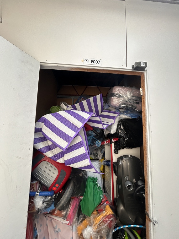 Public Storage P0008 -Dynamic Dr  auction IB-7160 20
