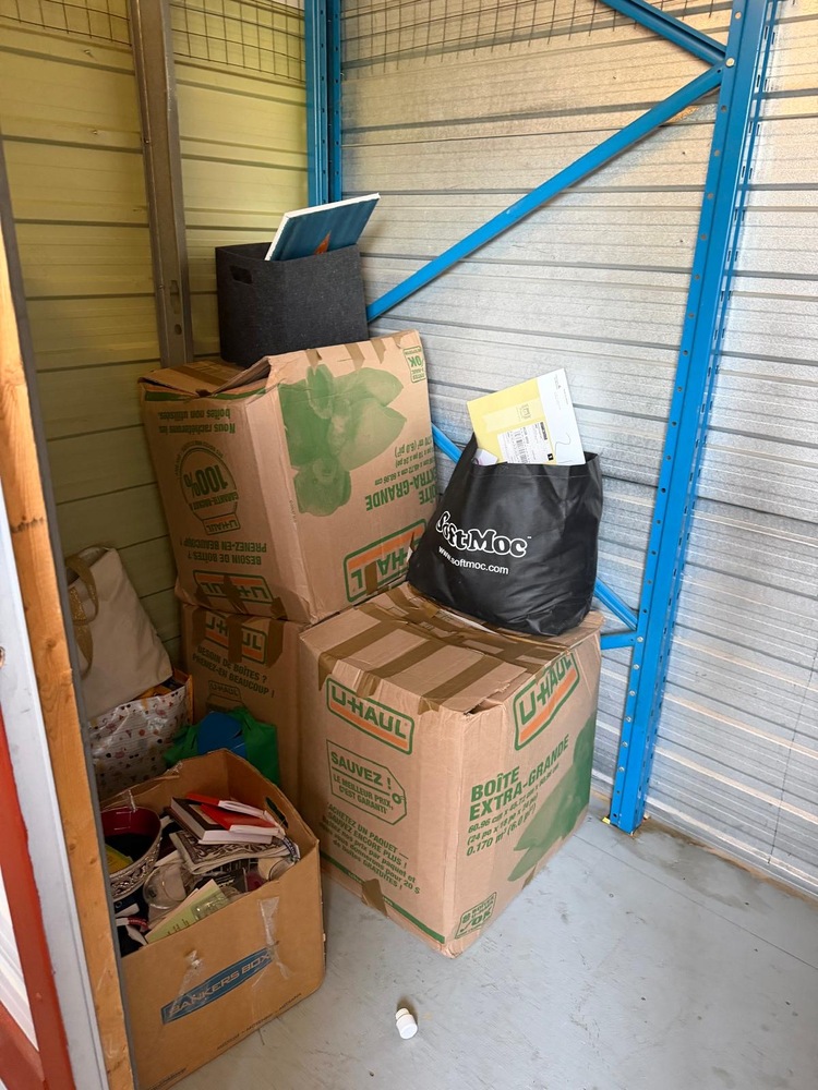 3107 -StorageMart  Downtown  auction IB-9751 20