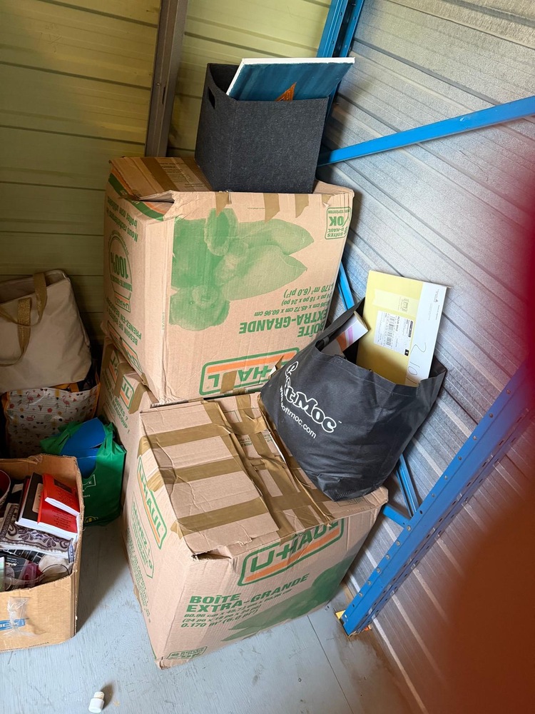 3107 -StorageMart  Downtown  auction IB-9751 60