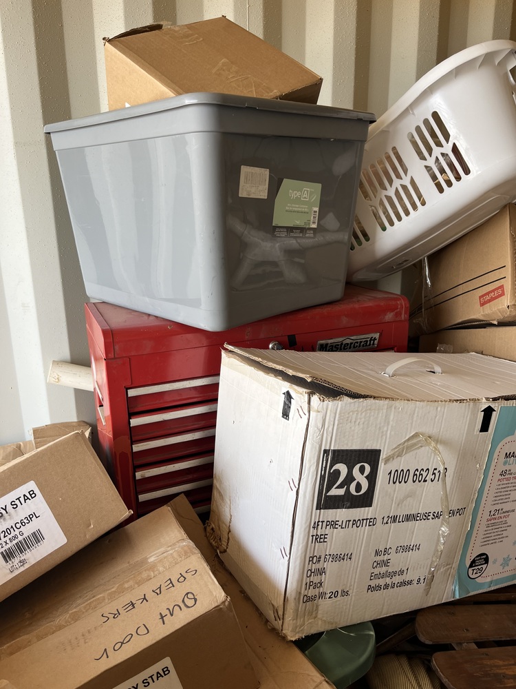 U Need Storage Georgetown  auction IB-2073