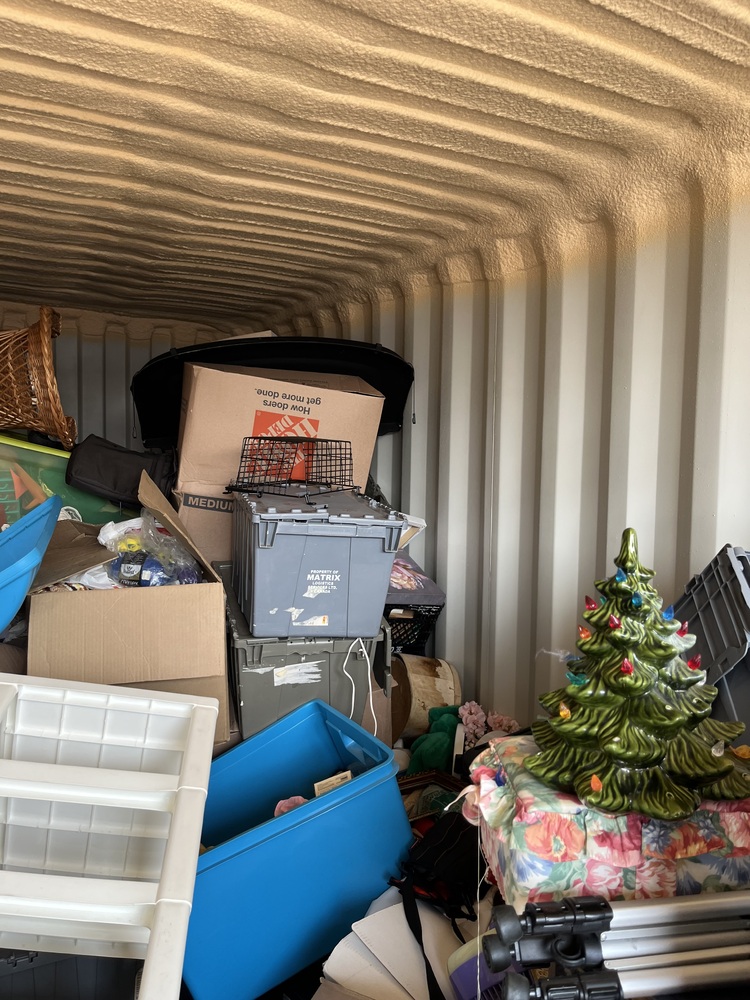 U Need Storage Georgetown  auction IB-6699 10