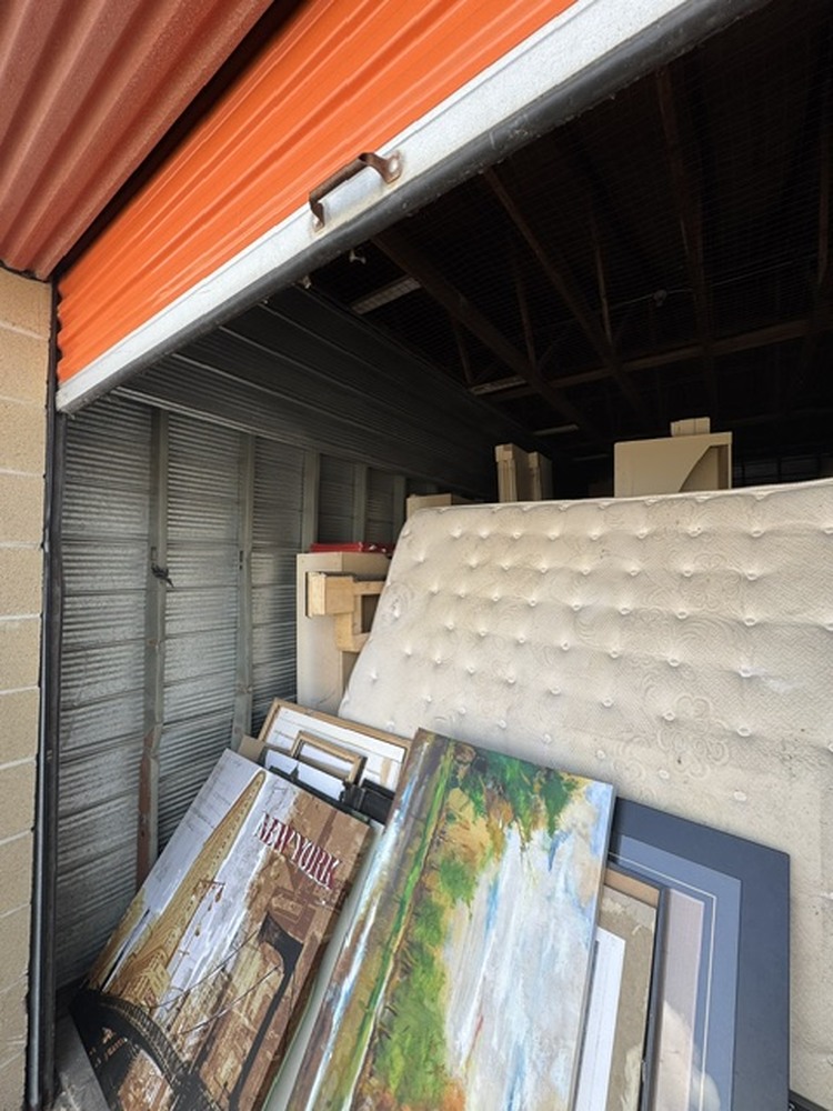 3009 - StorageMart Guided Crt  auction IB-7699 10