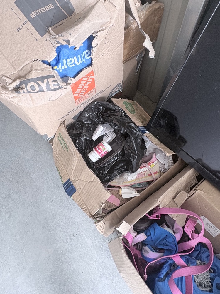 A1 Storage Systems Inc. OV  auction IB-9935 50
