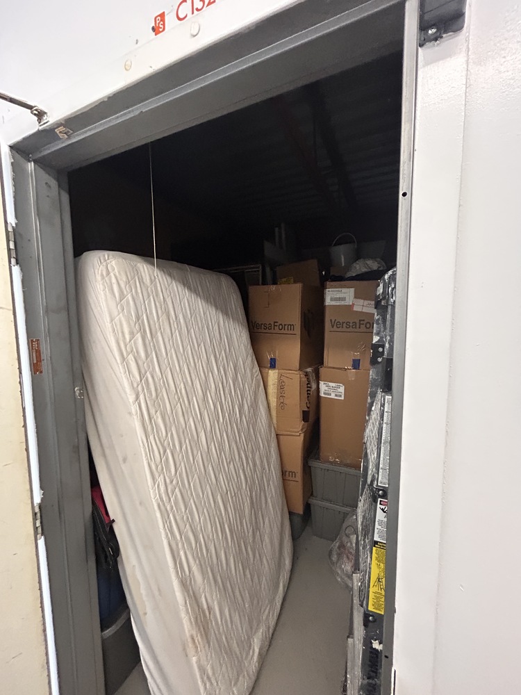 Public Storage P0008 -Dynamic Dr  auction IB-4748 10