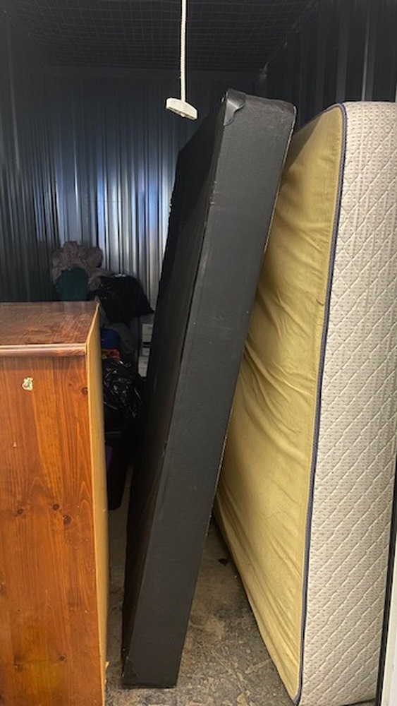 3006 - StorageMart Lauzon Rd. Windsor  auction IB-5923