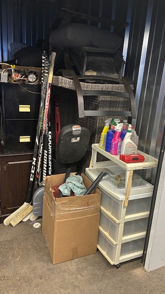 3006 - StorageMart Lauzon Rd. Windsor  auction IB-9197