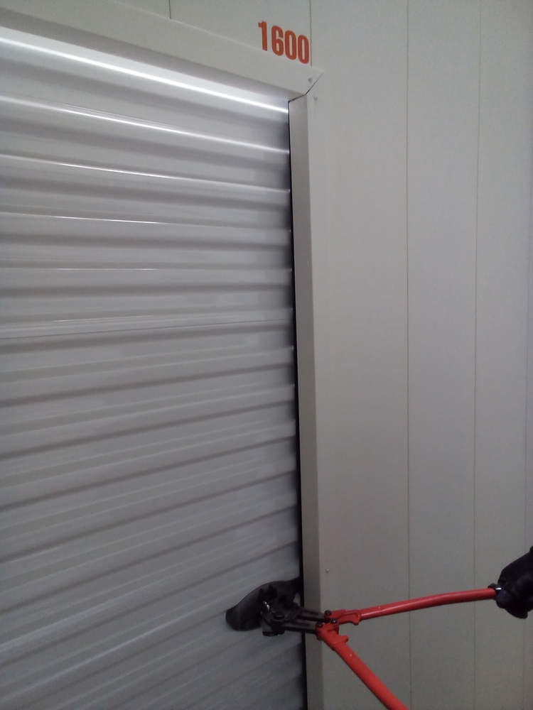 1-800-Self-Storage of Southfield (8 mile)  auction IB-2118